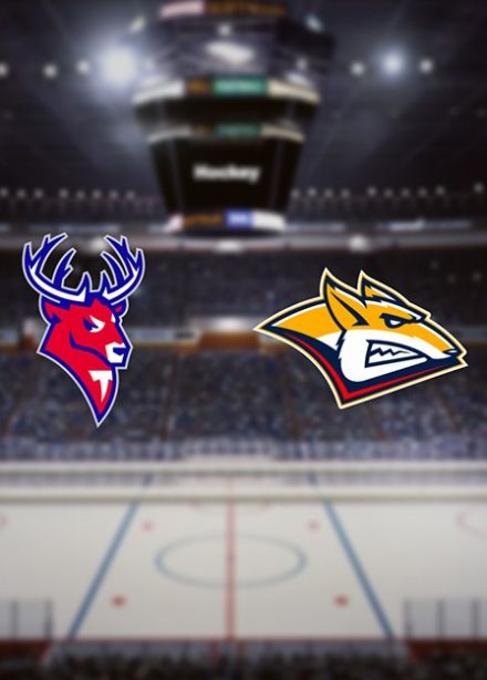 Хоккей. ХК «Торпедо» — ХК «Металлург Мг»