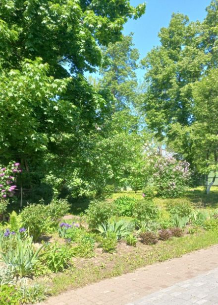 Игры в музейном дворике. Экскурсия