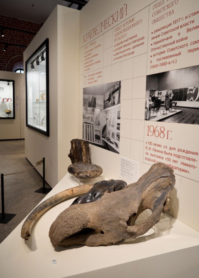 Путешествие в музей: Интерактивная программа