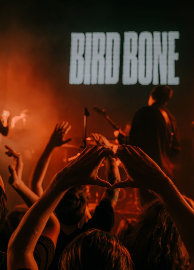 Bird Bone и holdkjeft