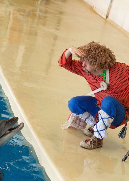 Хранители сказок