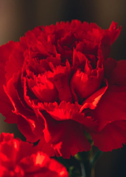 Цветок памяти: Мастер-класс