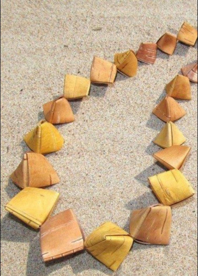 Удивительная береста: Программа