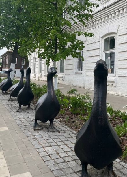 Дорогой Арзамасского гуся: Экскурсия по городу (для групп от 15 чел.)