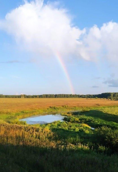 Тропинками родного края. Краеведческая программа